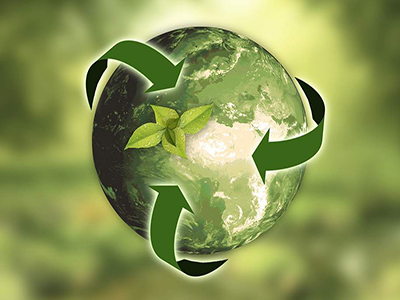 Ecologiaymedioambiente Ecologiaymedioambiente